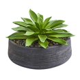thumbnail image 2 of Nearly Natural 8400 Large Succulent Artificial Plant in Decorative Bowl, 2 of 4