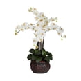 thumbnail image 5 of Phalaenopsis w/Decorative Vase Silk Flower Arrangement, 5 of 5
