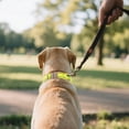 thumbnail image 1 of Adjustable Reflective Nylon Dog Collar - Heavy Duty Design with Metal Quick Release Buckle for Medium to Large Dogs Ideal for Outdoor Activities and Training, 1 of 4