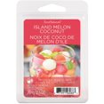 thumbnail image 1 of ScentSationals Scented Wax Cubes - Island Melon Coconut, 1 of 4