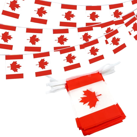Anley Canada String Flag Pennant Banners, Patriotic Events July 1st Canada Day Decoration Sports Bars - 33 Feet 38 Flags