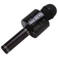thumbnail image 1 of Microphone Portatif Sans Fil Haut-Parleur pour Enfants, 1 of 10