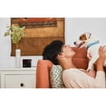thumbnail image 4 of Petcube Play 2 Wi-Fi Pet Camera with Laser Toy for Cats & Dogs, 4 of 5