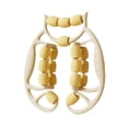 thumbnail image 2 of Xuanheng Rouleau de Massage pour les Jambes Rouleau à 18 Points pour Équipement de Musculation Physique Jaune, 2 of 8