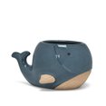 thumbnail image 1 of Ensemble de 6 Grands Pots Baleine, 1 of 1