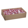 thumbnail image 1 of Sachets Portionnés de Sauce aux Prunes Style Olde, 28 g Chacun (160/caisse) – Sauce Asiatique Acidulée, Conforme aux Gras Trans et Prête à Servir, 1 of 4