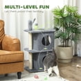 thumbnail image 4 of PawHut Tour pour Chat de 31,5 Pouces, avec 2 Condos, Arbre à Chat à Plusieurs Niveaux pour Chatons, 4 of 10