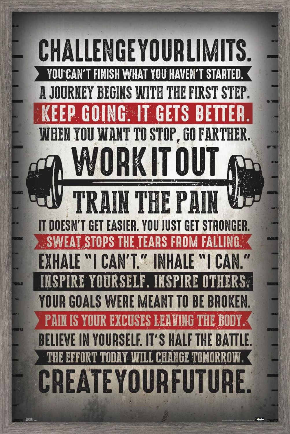 Challenge Your Limits Wall Poster, 14.725" x 22.375"