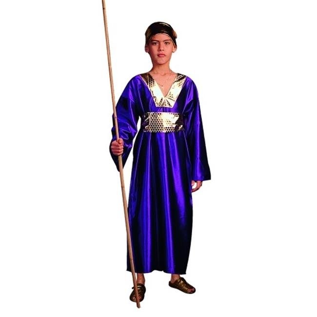 RG Costumes 90181-L Wiseman Costume - Purple - Size Child Large 12-14
