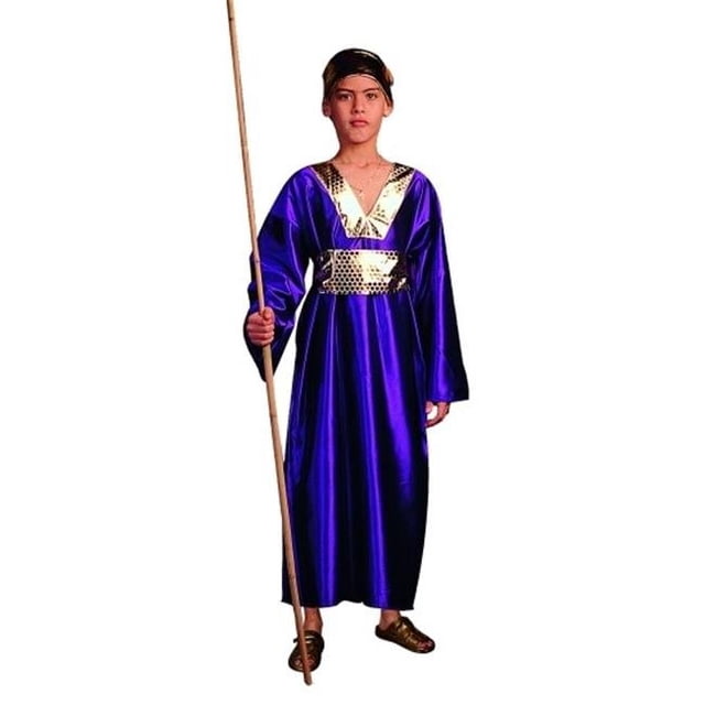 RG Costumes 90181-L Wiseman Costume - Purple - Size Child Large 12-14