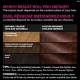 thumbnail image 2 of Olia Permanent Hair Dye Ammonia Free, 2 of 9