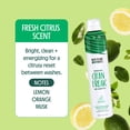 thumbnail image 4 of Clean Freak Original Dry Shampoo, 4 of 7