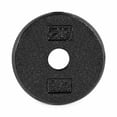thumbnail image 1 of CAP Barbell 1-Inch Cast Iron Weight Plate, Black, Single, 1.25 - 50 lb, 1 of 4