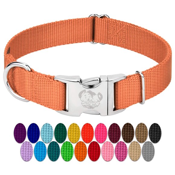 Country Brook Petz Premium Nylon Dog Collar with Metal Buckle for Small Medium Large Breeds - Vibrant 30+ Color Selection (Extra Large 1 Inch Coral)