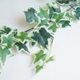 thumbnail image 4 of Simulation Vine 1.8m Ivy Simulation Plant Window Wall Simulation Plant Ivy, 4 of 6