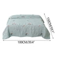 thumbnail image 3 of Lisbinx Pilloes Lightweight Summer Quilt, Soft and Breathable, Perfect for Air Conditioning Use, 3 of 5