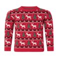 thumbnail image 1 of Matching Family Christmas Sweaters Long Sleeve Reindeer Pullovers, 1 of 9