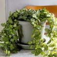 thumbnail image 4 of The HC Companies 12 Inch Plastic Outdoor Classic Flower Pot Planter, Terra Cotta, 4 of 5