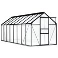 thumbnail image 1 of vidaXL Serre avec Cadre de Base Anthracite Aluminium 9.31 M2, 1 of 4