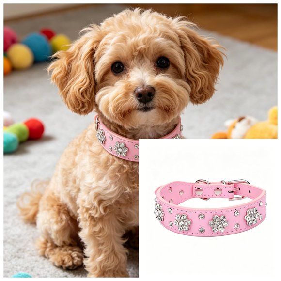 ZZHZGZ Canada Sale Collier avec Laisse Confortable et Collier pour Chat pour Usage Quotidien et Entraînement