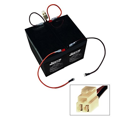 Batteries de Remplacement et Faisceau de Câblage pour Razor E100 (Modèles à Entraînement par Chaîne) - Versions 10+, Razor E175, Razor E150, Razor eSpa