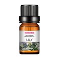thumbnail image 1 of RKSTN Humidifiers for Bedroom Large Room Aromatherapy Plant Water Soluble Humidifier Car Aromatherapy Essential Oil 10ml Nursery & Plants Bedroom Humidifier, 1 of 1