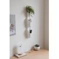 thumbnail image 4 of Floralink Vaisseau Mural Blanc, 4 of 8