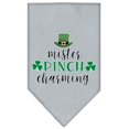 thumbnail image 1 of Mister Pinch Charme Sérigraphie Bandana Gris Grand, 1 of 1