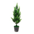 thumbnail image 2 of Christmas Tree Lights,Night Lights for Kids Room,Tree Holiday Lights Led Twig Lights Simulation Plant Led Night Light Usb Potted Plant Lights Simulation Plant Potted Plant Lights,Night Light for Kids, 2 of 6