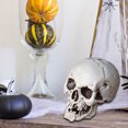 thumbnail image 4 of EGNMCR Halloween Decorations, Halloween Skeletons Plastic Realistic Fake Simulation Human Skull HeadBone Model Halloween Prop Realistic Mini Skeleton Spooky Halloween Decoration A Skeleton, 4 of 5