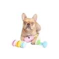 thumbnail image 3 of One Paw, Girls Night Set Dog Plush Toy,3 Toys, Push, 3 of 6
