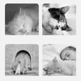 thumbnail image 3 of Cat House, Cat Bed House Foldable Gray  For Bedroom SPets Within 7.7lb,MPets Within 16.5lb,LFor Several Pets, 3 of 8