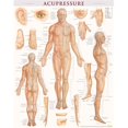 thumbnail image 1 of BarCharts 9781423222651 Laminés par Acupression, 1 of 1