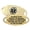 Black Filigree | Laser Engraving, variant on MedicEngraved Yellow Gold Stainless Steel Custom Medical Alert Bracelet - 5mm Curb Link