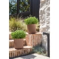 thumbnail image 3 of Veradek Demi Series 12" Plastic-Stone Planter - 2-Pack Terracotta, 3 of 10