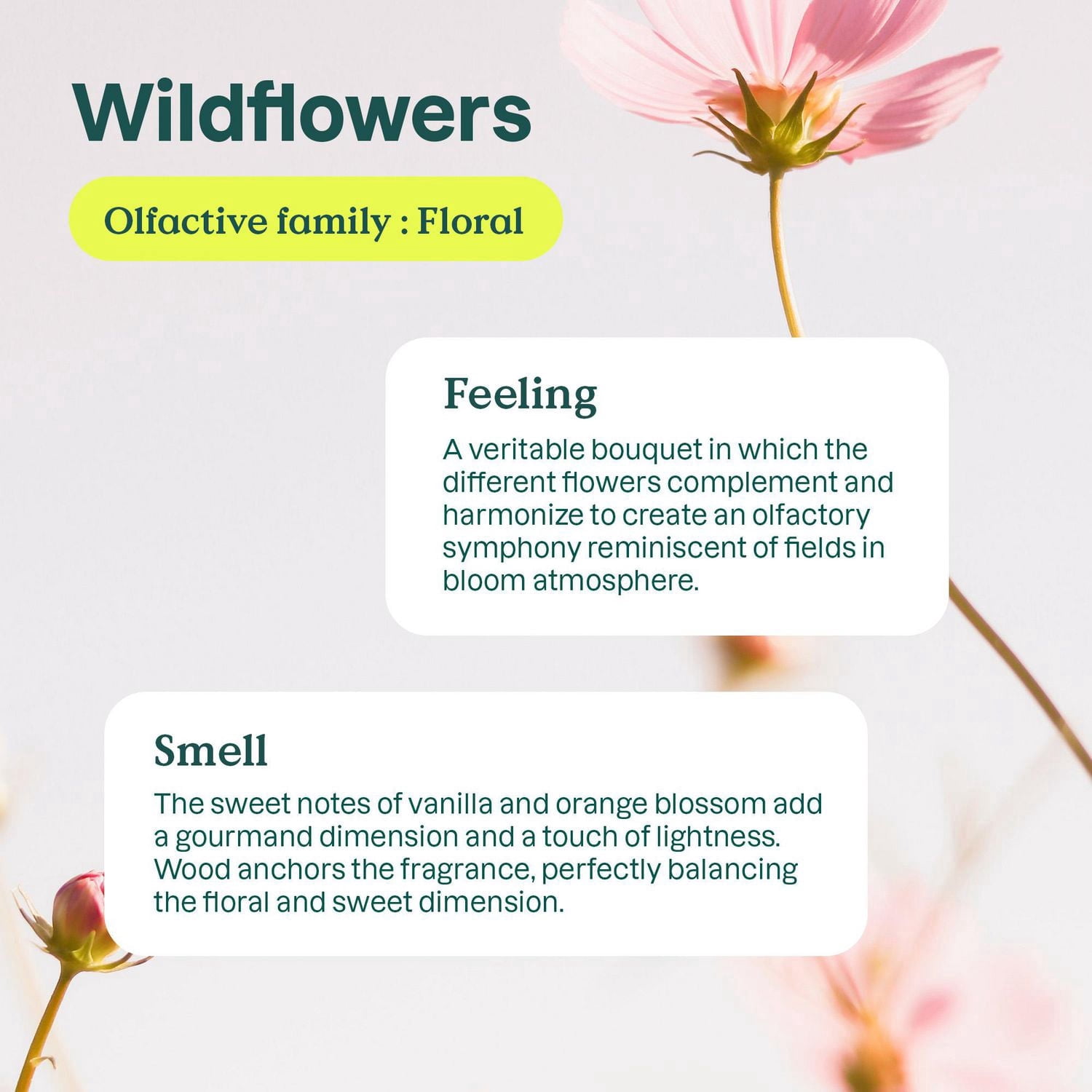 Attitude Fabric Softener Wildflowers (80 Loads) 2L