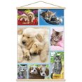 thumbnail image 1 of Keith Kimberlin - Collage de chiots et de chatons, 1 of 4