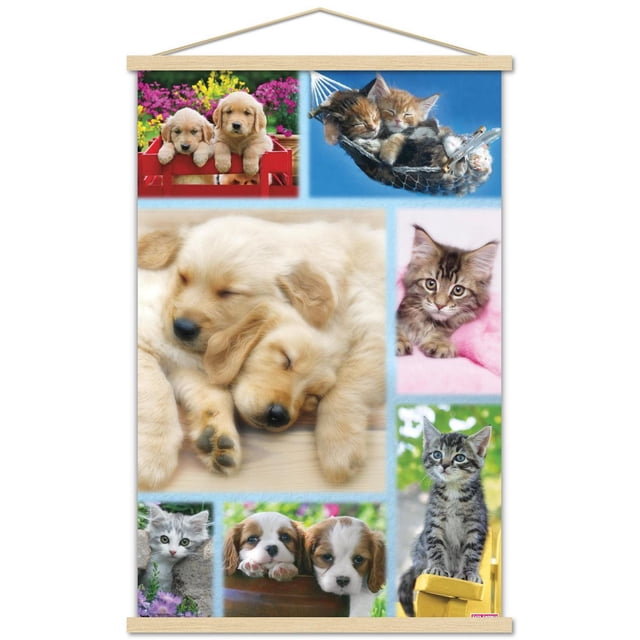 Keith Kimberlin - Affiche Murale Collage de Chiots et Chatons, 22,375 Po x 34 Po Mettant en Vedette un Collage de Chiots golden retriever Dormant Ensemble, des Chatons Câlinés dans un Hamac, un Chaton Tigré sur une Couverture Rose, un Chaton Gris Près des Fleurs et un Chaton Tigré Assis sur une Chaise Jaune, Imprimée sur Papier Lustré pour une Déco Intérieure Vibrante.