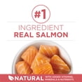 thumbnail image 4 of Purina ONE +Plus Indoor Advantage Salmon, Dry Cat Food 3kg, 4 of 10