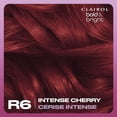 thumbnail image 3 of Clairol Bold & Bright Permanent Hair Dye, 3 of 9