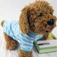 thumbnail image 4 of SIfdSeng Designer Pet Clothes Pet Clothes Dog Striped Round Neck T Shirt Pet Striped Shirt Pet Clothes Korean Style Small Dog Clothes Dog Clothes for Medium Dogs Girl Winter, 4 of 4