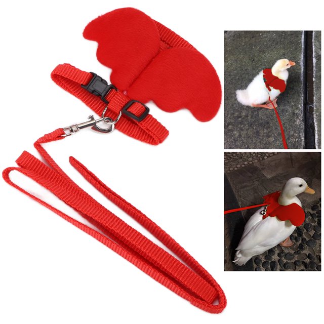 Chicken Harness, Pet Duck Walking Harness Leash and Wings Chicken Leash Bird Leash Hen Chickens Harness Outdoor Training Traction Rope for Chicken Duck Goose Hen Small Pets