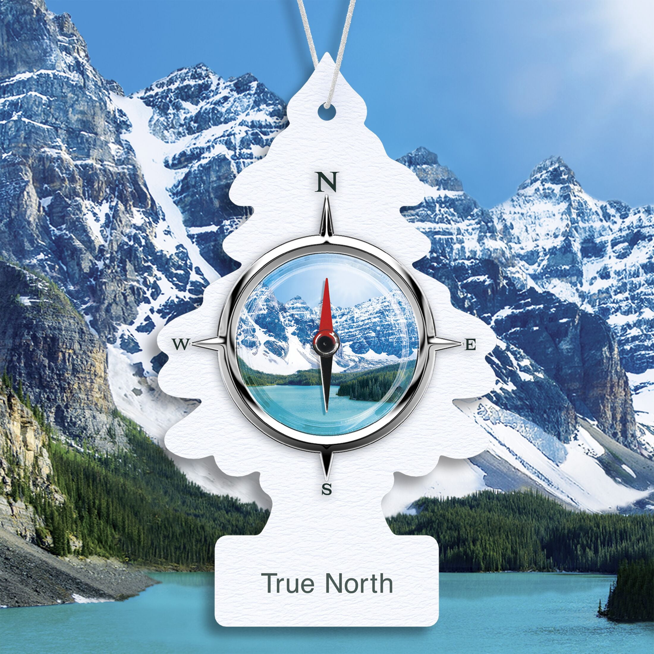 LITTLE TREES air freshener True North 6-Pack