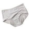 thumbnail image 1 of Culottes Menstruelles pour Femmes, Anti-Fuites, en Coton, pour la Nuit, Culottes, 1 of 11