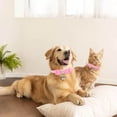 thumbnail image 3 of Velvet Elegant Collar Soft and Adjustable Bright Colors with Bell, 3 of 3
