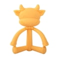 thumbnail image 1 of DPTALR Toddlers Infants Baby Teething Toys Soft Silicone Fruit Teether, 1 of 1