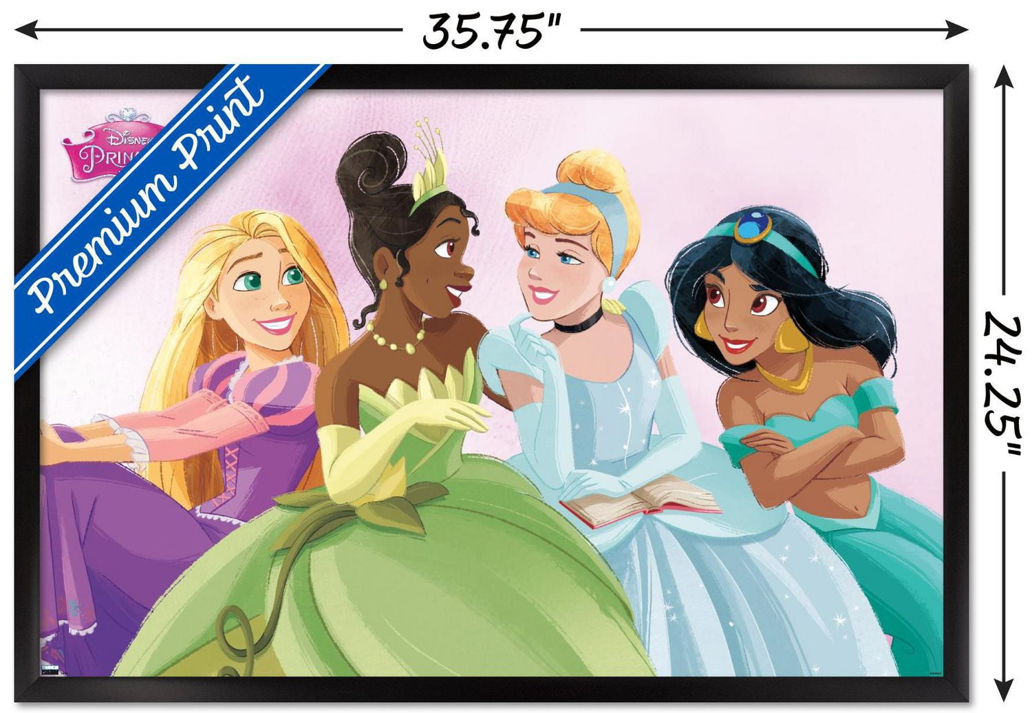 Disney Ultimate Princess Celebration - Groupe