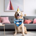 thumbnail image 3 of VONKY Pet birthday drool bib scarf, 3 of 9