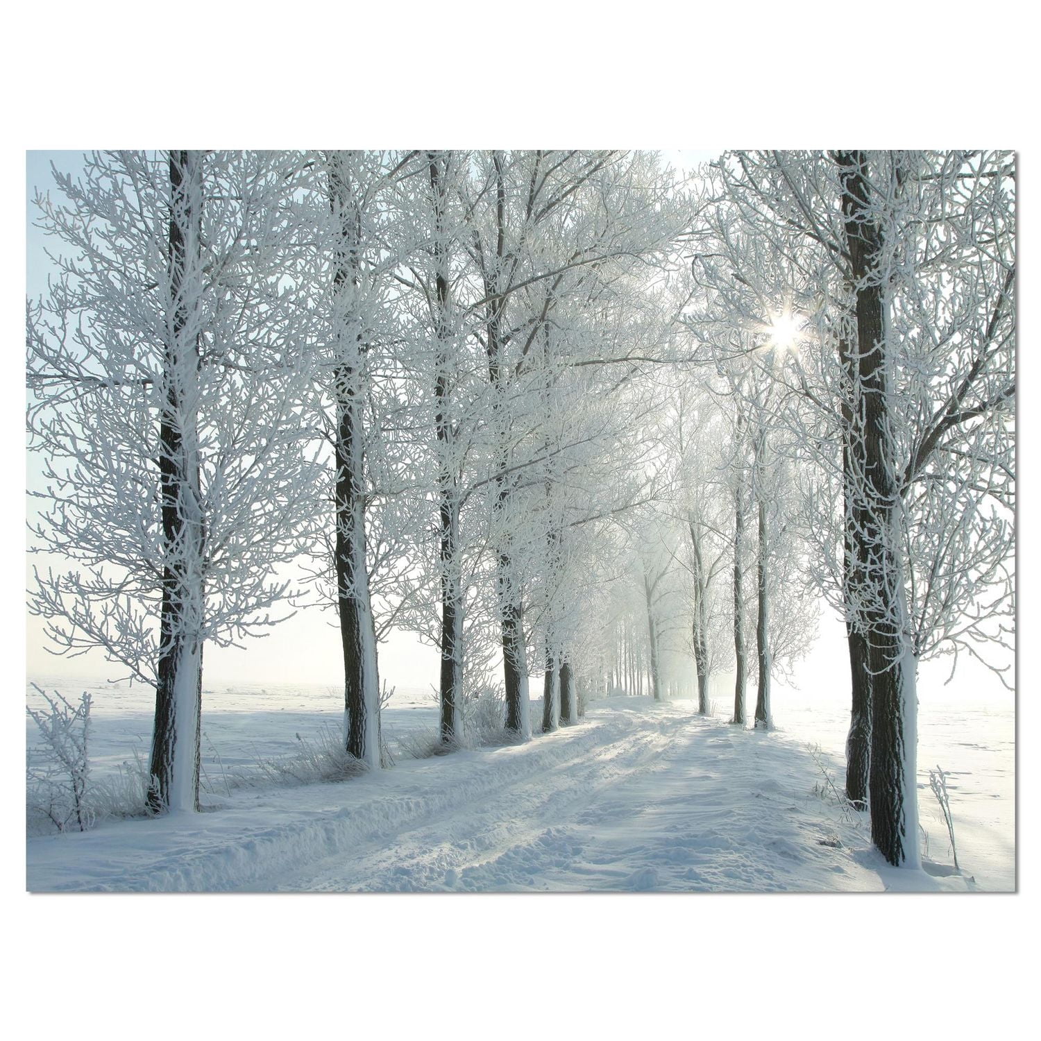 Designart Arbres d'hiver rétro-éclairé par le soleil du matin Art mural sur toile