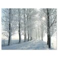 thumbnail image 1 of Designart Winter Trees Backlit by Morning Sun Canvas Wall Art, 1 of 3